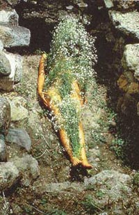 Ana Mendieta: "Silueta" 1973-Mexico Provenance: Purchased from Galerie Lelong, NYC 1997