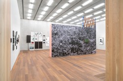 Cortesia del Perez Art Museum Miami y Miami Fine Art