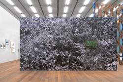 Cortesia del Perez Art Museum Miami y Miami Fine Art