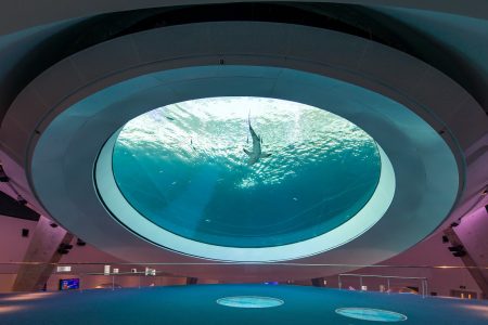 Gulf Stream Aquarium Oculus @ Frost Science_Photo by Ra-Haus