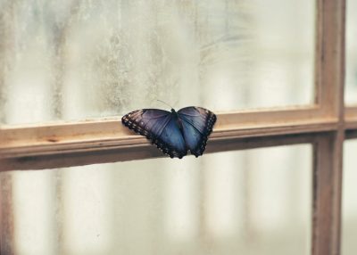 Maynard Joycejian-xhin-281513-unsplash