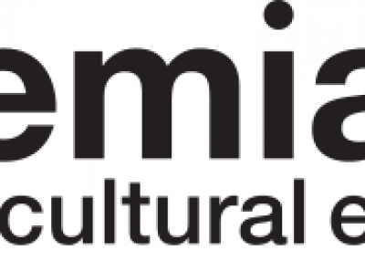 centro_cultural_espanol_miami_logo